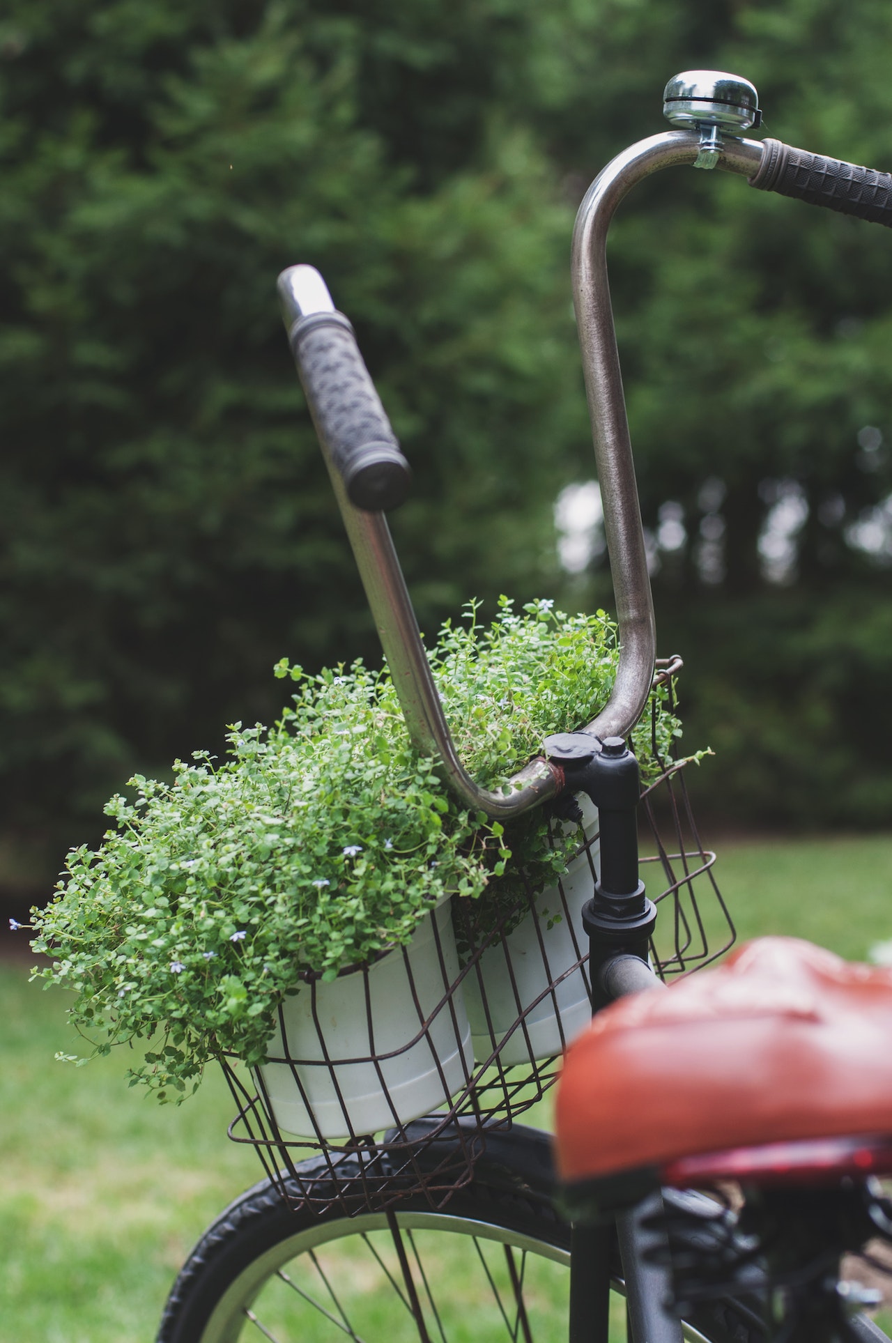 fiets met plant in mandje